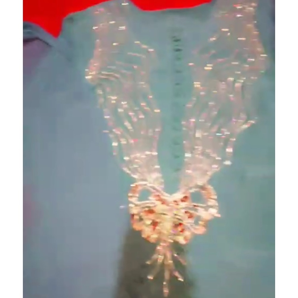 Pakistani designer muse dress